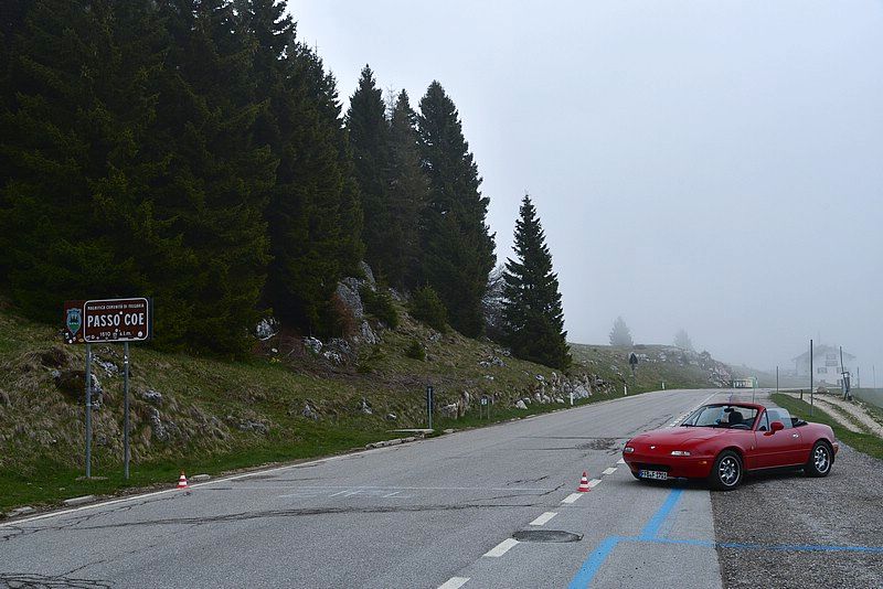DSC_8271RAW.jpg