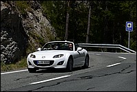 DSC_7745C.jpg