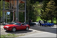 DSC_7794.JPG