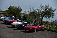 DSC_7832.JPG