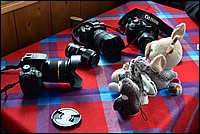 DSC_8003.JPG