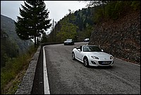 DSC_8014.JPG