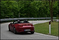 DSC_8029C.jpg