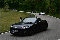 DSC_8038RAWC.jpg