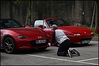 DSC_8079C.jpg