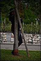 DSC_8088.JPG