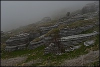 DSC_8115.JPG