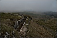 DSC_8118.JPG