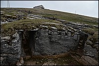 DSC_8119.JPG