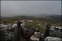 DSC_8120.JPG