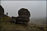 DSC_8122.JPG
