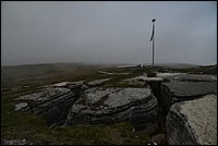 DSC_8129.JPG