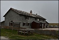 DSC_8136.JPG