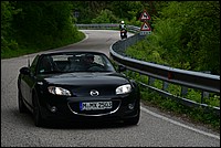 DSC_8161C.jpg