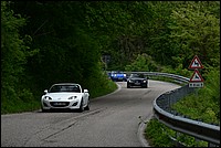 DSC_8165C.jpg