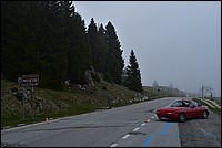 DSC_8271RAW.jpg