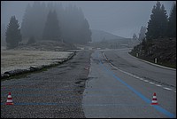 DSC_8273RAW.jpg
