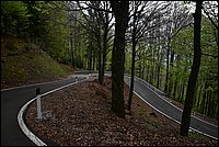 DSC_8297.JPG