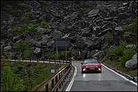 DSC_8311C.jpg