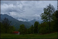 DSC_8579RAW.jpg