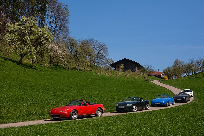 DSC_0137RAW.jpg